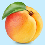 10 Best Apples to Eat Any Time of Year: A Sweet, Crisp Journey Across America’s Favorite Fruit