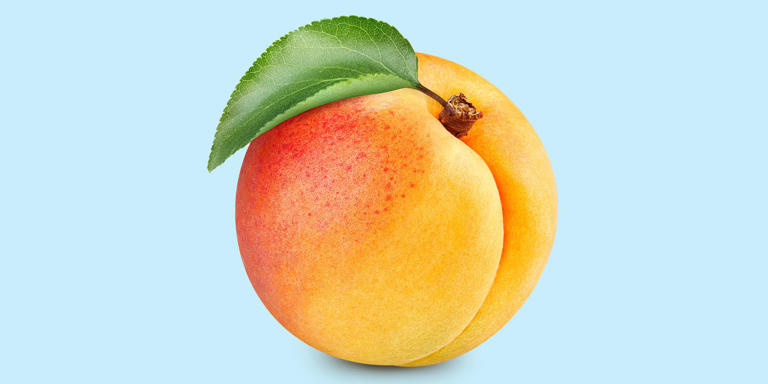 10 Best Apples to Eat Any Time of Year: A Sweet, Crisp Journey Across America’s Favorite Fruit