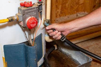 The Humble Roll: More Than Just Paper, It's The Heart of a Happy Bathroom