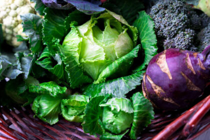 The Kitchen That Fights Back: 10 Foods That Help Your Body Battle Cancer