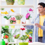 The 30-Plant Secret: How Many Plant Foods You Should Eat Weekly for a Truly Healthy Gut