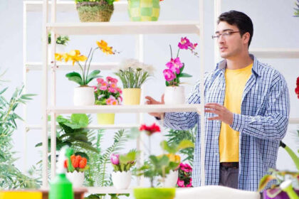 The 30-Plant Secret: How Many Plant Foods You Should Eat Weekly for a Truly Healthy Gut