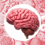 12 Unusual Habits Linked to High Cognitive Ability — The Quirky Signs of Truly Smart Minds