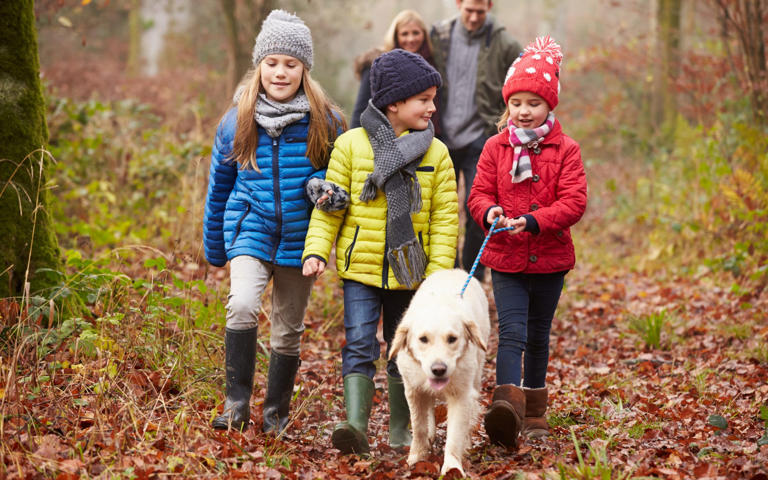 Parents Do Have a Favorite — And Science Says It’s Not Who You Think