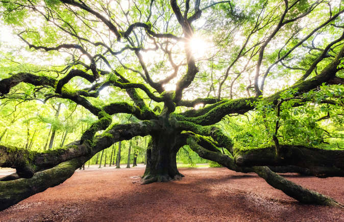 40 Hidden American Travel Gems You’ll Never Forget: A Once-in-a-Lifetime Journey Through the Real USA