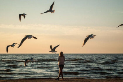 Harvard’s Quiet Revelation: The Hidden Regrets Women Carry Into Their Final Years — And How to Avoid Them