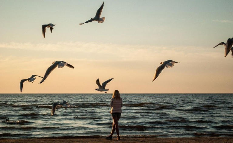 Harvard’s Quiet Revelation: The Hidden Regrets Women Carry Into Their Final Years — And How to Avoid Them