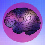 The Midnight Munch: The Surprising Snack That Feeds Your Brain While You Sleep