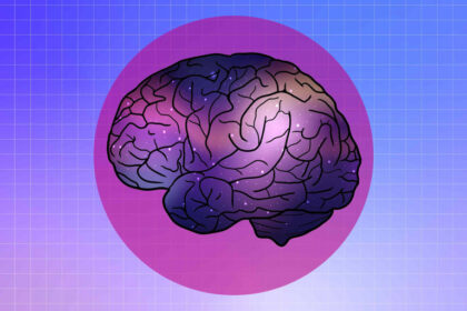 The Midnight Munch: The Surprising Snack That Feeds Your Brain While You Sleep