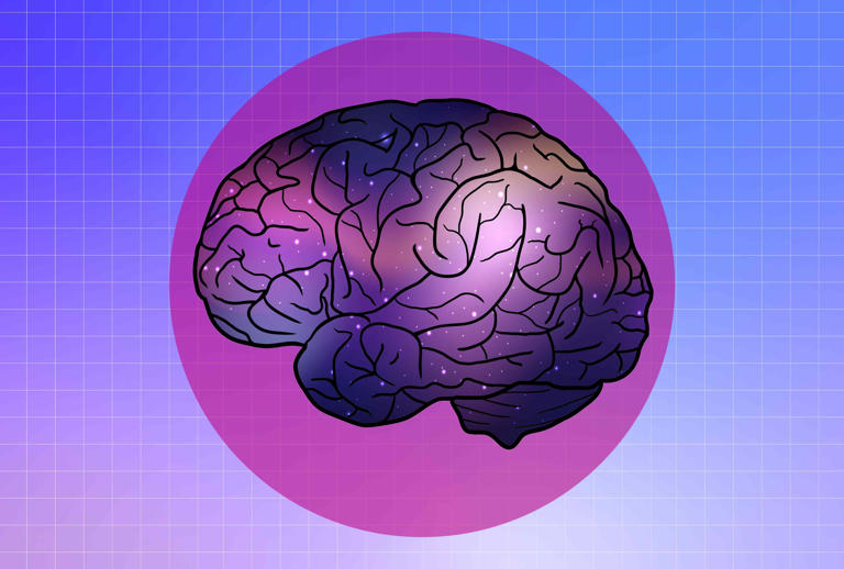 The Midnight Munch: The Surprising Snack That Feeds Your Brain While You Sleep