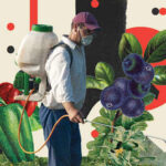 The Dirty Truth: 10 Everyday Fruits and Vegetables in America That Are Loaded With Pesticides