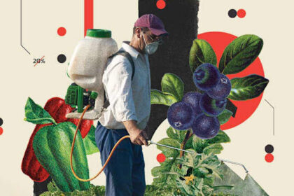 The Dirty Truth: 10 Everyday Fruits and Vegetables in America That Are Loaded With Pesticides