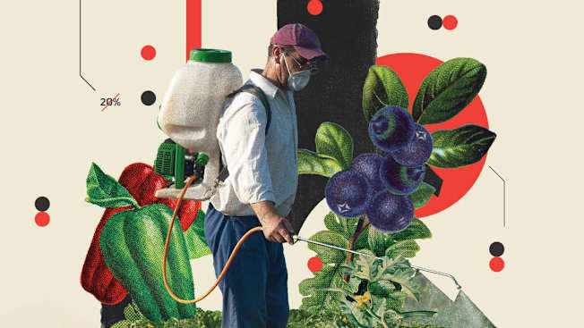 The Dirty Truth: 10 Everyday Fruits and Vegetables in America That Are Loaded With Pesticides